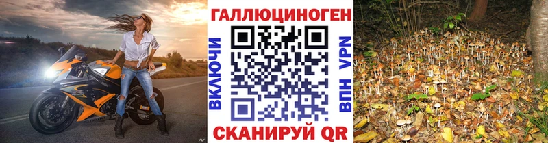 Галлюциногенные грибы MAGIC MUSHROOMS  Качканар 